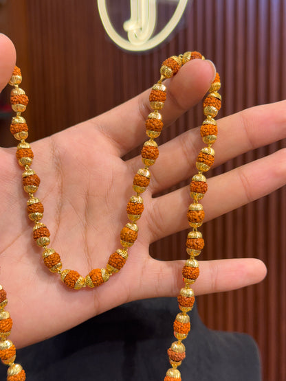 Rudraksh Mala Rudraksh Mala⭐⭐⭐ 3.3 (3,870)