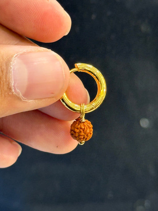 Rudraksha bali ⭐⭐⭐⭐⭐ 4.6 (22,540)